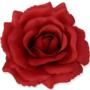 Róża Sonia główka kwiatowa 53384 RE174 3349