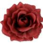 Róża Sonia główka kwiatowa 53384 RE161 3349