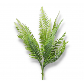 Bukiet zielony paproci 20210372