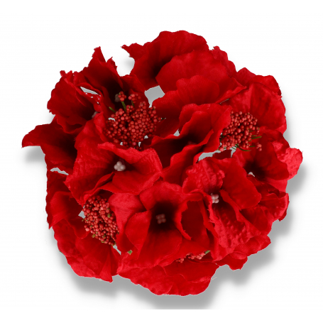 55659 red