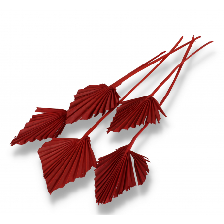 743 red
