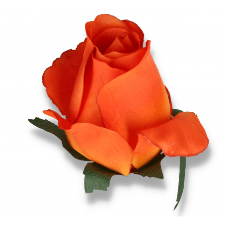 51553 aut orang yell