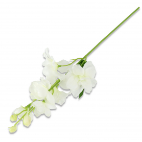 Ostróżka 50431 SUN476 SUN476