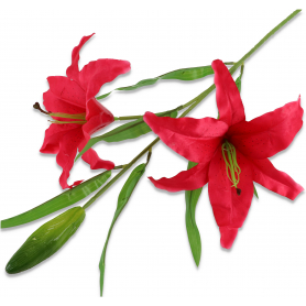 Lilia gałązka pojedyncza 21125001