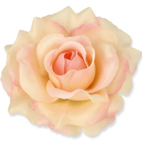 Róża Sonia główka kwiatowa 53384 PI348 3349