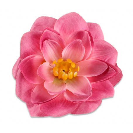 50509 new aut dk pin