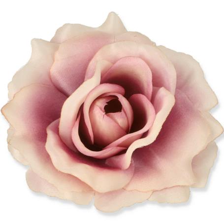 Róża Sonia główka kwiatowa 53384 MA508 3349