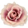 Róża Sonia główka kwiatowa 53384 MA508 3349