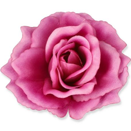 Róża Sonia główka kwiatowa 53384 BE365    3349 3349
