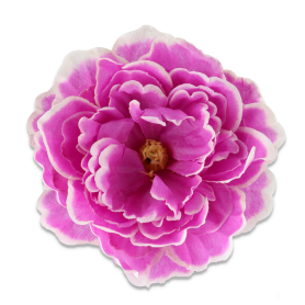 51449 lilac