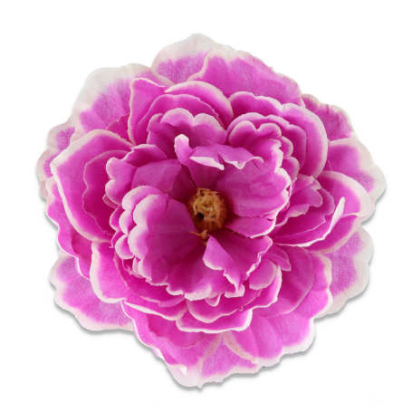 51449 lilac