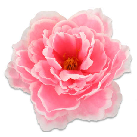 51449 pink