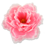 51449 pink