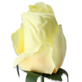 51553 gold lemon
