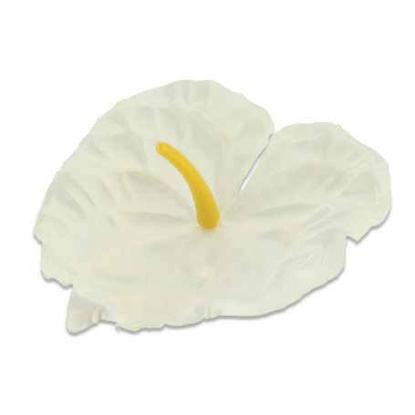 55037 cream