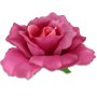 52510 beauty pink