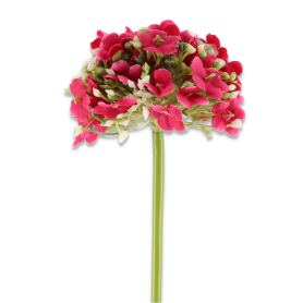 Kalina gałązka pojedyncza 50838 P55-20-24