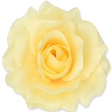 Róża Sonia główka kwiatowa 53384 Ye544 3349