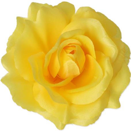 Róża Sonia główka kwiatowa 53384 ye146 3349