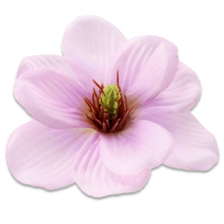 57931 lilac
