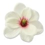 57931 cream pink