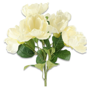 Bukiet Magnolii JH070