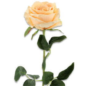 Róża pojedyncza 70cm LR23206003
