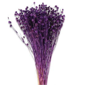 Susz len wiązka mix kolor 01 LEN