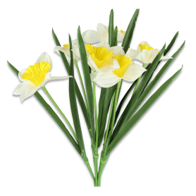 Bukiet Żonkili BUA8195