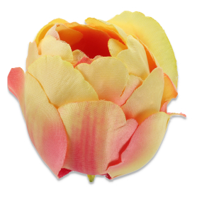 Kamelka główka kwiatowa KPW0035