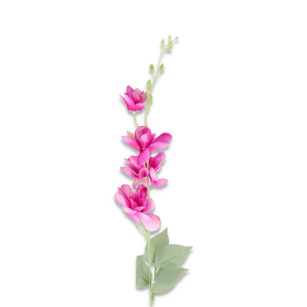 Gałązka Magnolia SIN123