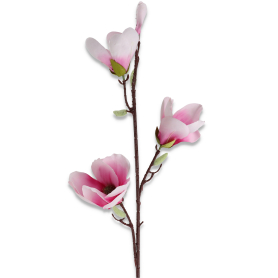 Magolia gałązka pojedyncza p21-14