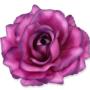 Róża Sonia główka kwiatowa 53384 pu394 3349