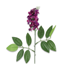 Bez gałązka pojedyncza 59992 AL003