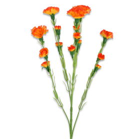 Goździk gałązka 60cm