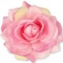 Róża Sonia główka kwiatowa 53384 PI479 3349