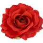 Róża Sonia główka kwiatowa 53384 RE191  3349 3349