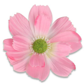 59997 pink
