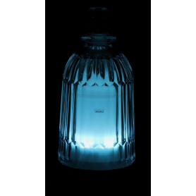 Dyfozur zapachowy GC-G42