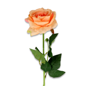 Róża gałązka pojedyncza T97-32