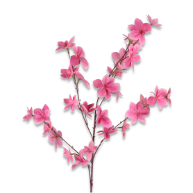 Magnolia gałązka materiał 3D LR2211002