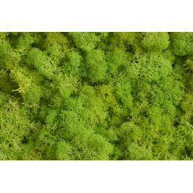 Susz mech Moss extra 500g box 306CAN0500_DKGR