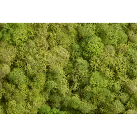 Susz mech Moss extra 500g box 306CAN0500_LTGR