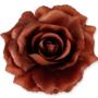 Róża Sonia główka kwiatowa 53384 BR316 3349