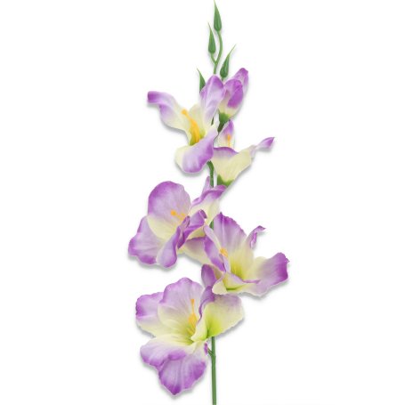 52089 lavender green