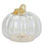 Dynia przezroczysta led 8246