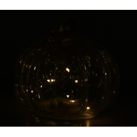 Dynia przezroczysta led 8246