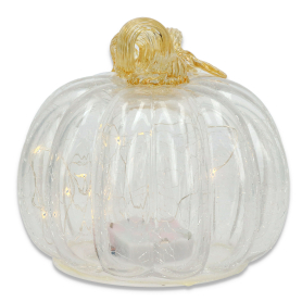 Dynia przezroczysta led 8249