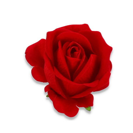 Róża welurowa T100-03h