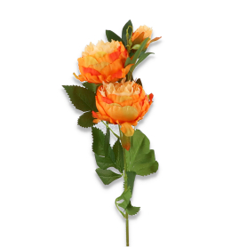 Gałązka piwonii x3 AFL0950